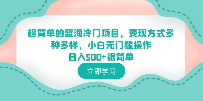 （6422期）超简单的蓝海冷门项目，变现方式多种多样，小白无门槛操作日入500+很简单-小胖源码网