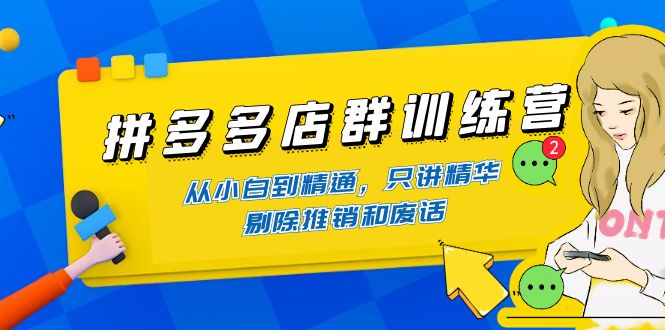 （4318期）拼多多店群训练营：从小白到精通，只讲精华，剔除推销和废话-加享网