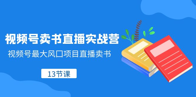 视频号卖书直播实战营，视频号最大风囗项目直播卖书（13节课）-小胖源码网