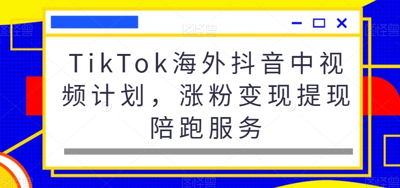 TikTok海外抖音中视频计划，涨粉变现提现陪跑服务-小胖源码网