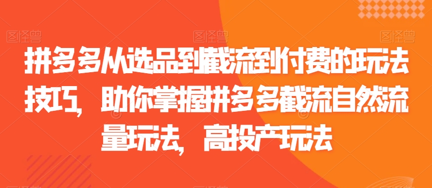 拼多多从选品到截流到付费的玩法技巧，助你掌握拼多多截流自然流量玩法，高投产玩法-小胖源码网